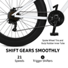 26 X Large Fat Tyre Bicyle mountain bike Full Suspension 21 speed white