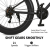 26 X Large Fat Tyre Bicyle mountain bike Full Suspension 21 speed Black